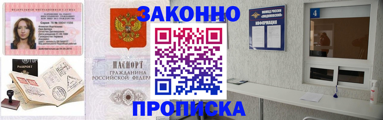 прописка в квартире в Кашине